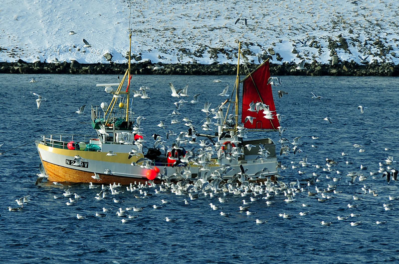 Scandinavie, Norvge, Sude, Finlande